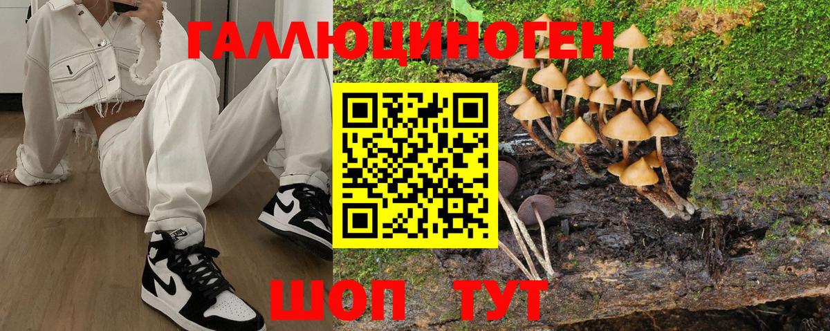 купить  цена  Вход с VPN  Узловая  Галлюциногенные грибы MAGIC MUSHROOMS  Псилоцибиновые грибы мухоморы 